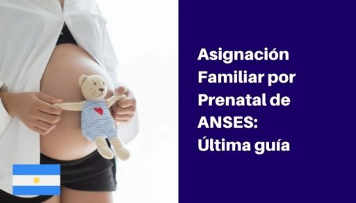 asignacion prenatal de anses