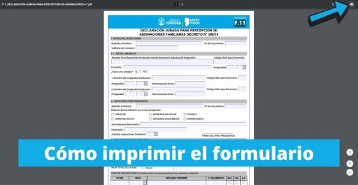 imprimir formulario f11