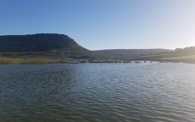 Laguna Brava