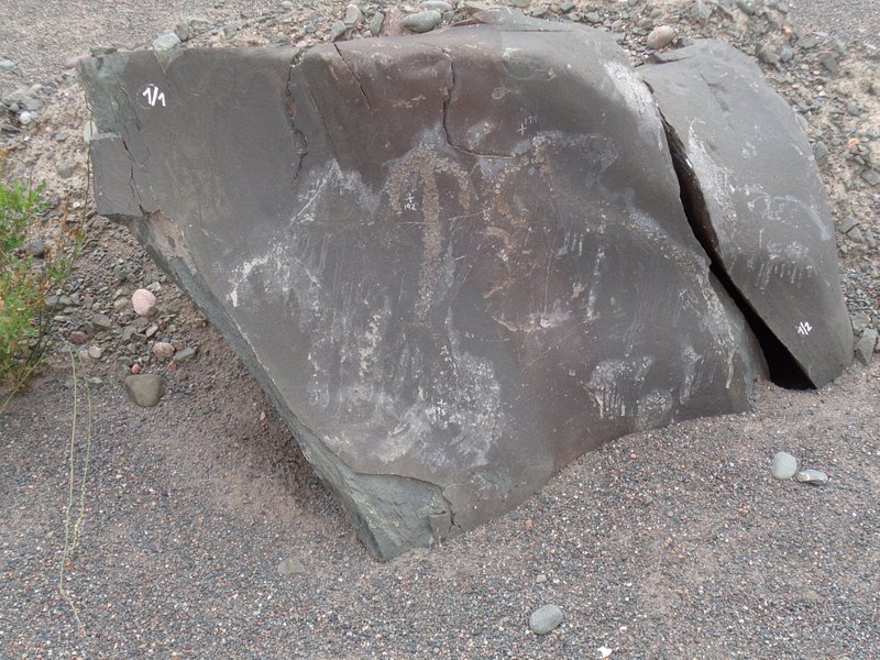 Petroglifos del Rio San Juan