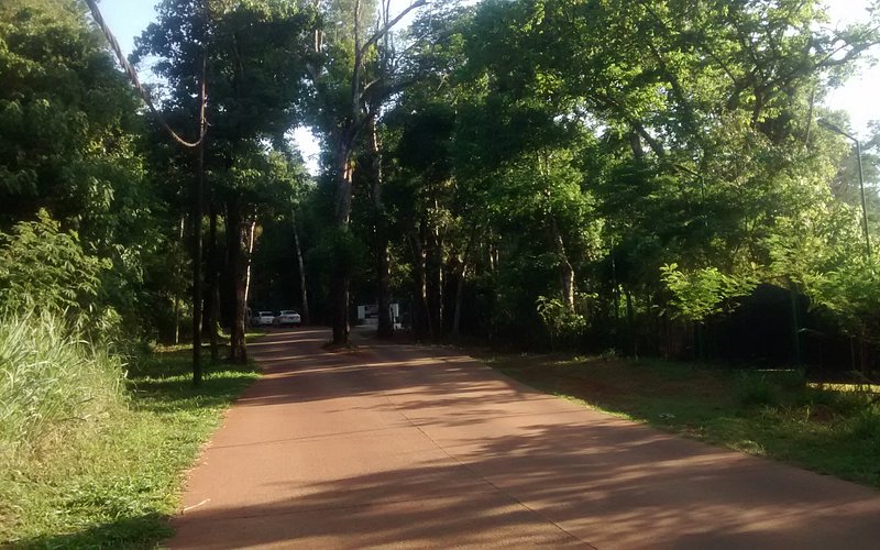 Selva Iryapu La Reserva