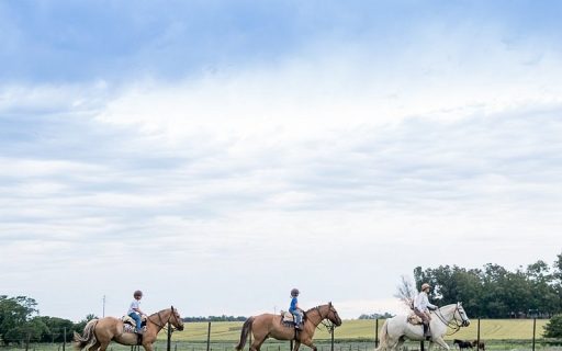 Descubre los mejores tours a caballo en Buenos Aires: una experiencia única en la ciudad.